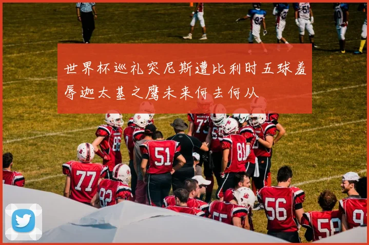 世界杯巡礼突尼斯遭比利时五球羞辱迦太基之鹰未来何去何从